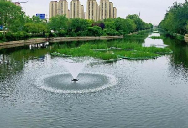 城市河道水循环净化综合调控技术